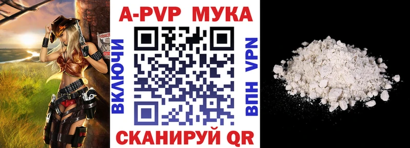 ОМГ ОМГ tor Сураж Alfa_PVP крисы CK