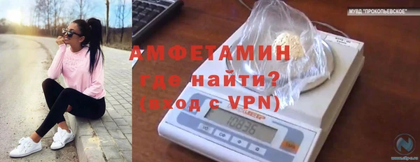 индика Алексеевка