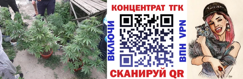 наркотики  Сураж  Дистиллят ТГК концентрат 