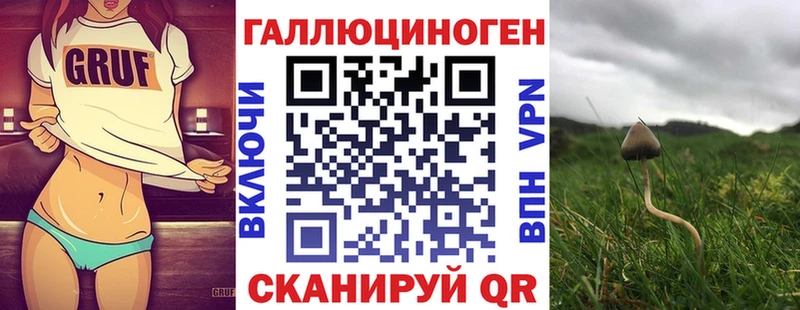 Галлюциногенные грибы Psilocybine cubensis  купить   hydra ссылки  Сураж 